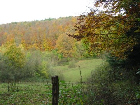 Fotocollage omgeving Durbuy in de Ardennen